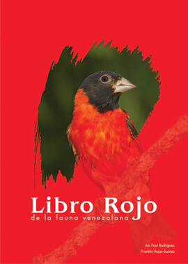 libro rojo brochure design